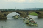 Dresden - 1. Mannschaft